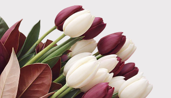 Татьянин день